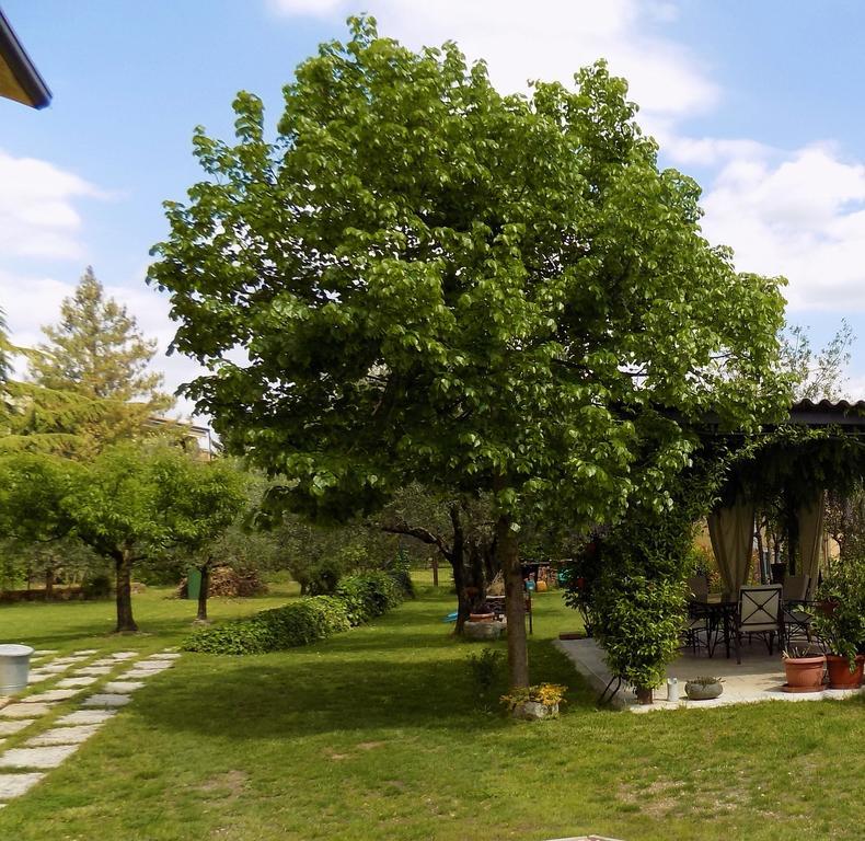 Due Archi Bed & Breakfast ซานตัมบรอโจ ดิ วัลโปลีเชลลา ภายนอก รูปภาพ